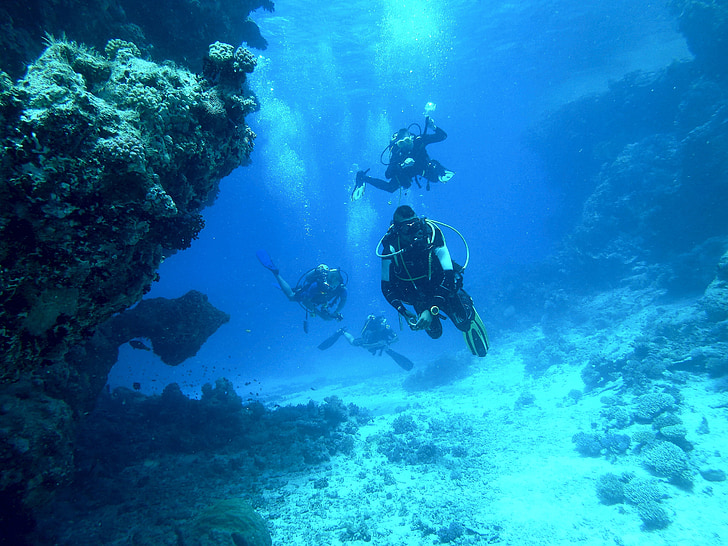 diving-underwater-sea-float-preview.jpg